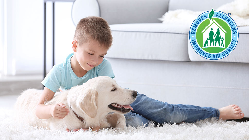 Carpet Cleaning Sydney